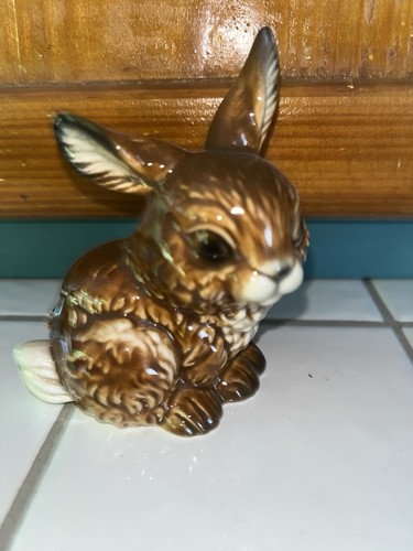 Très joli petit lapin en - lapin, s’en
