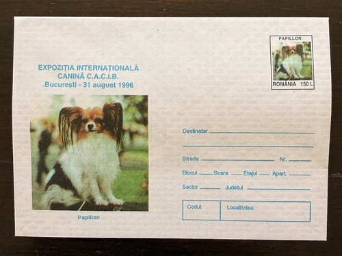 Roumanie chien papillon - roumanie,