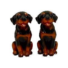 Pair Of Sitting Rottweiler Dogs Or Puppies Black And Tan Nice Detail