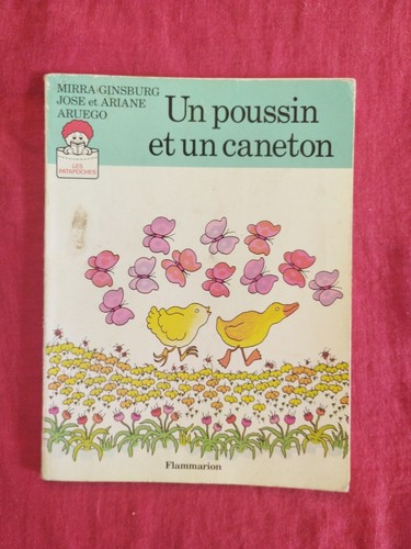 Poussin caneton - un,