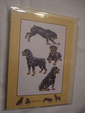 CARTE + ENVELOPPE - chien