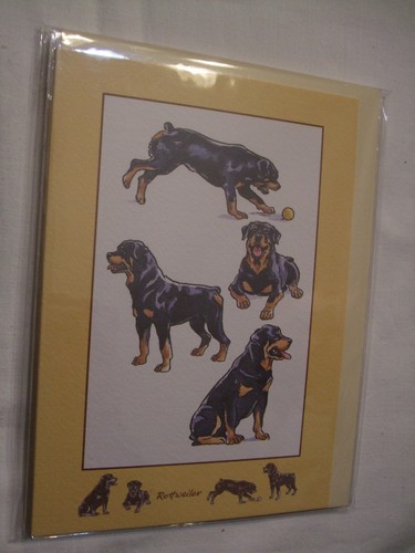 Carte enveloppe chien - carte,