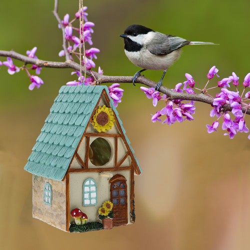 Decoration jardin exterieur - ,
