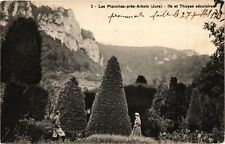 CPA Les PLANCHES-PRES-ARBOIS - Ifs et Thuyas sequular (211528)