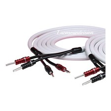 Câble haut-parleur audio