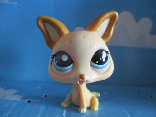 Petshop chien chihuahua - chien,