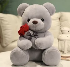 Ours en Peluche 🧸