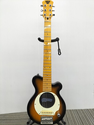 Pignose amp built guitar - amp, built-in