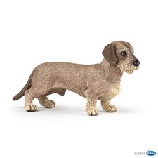 Papo 54043 Teckel À Poil Dur 8 Cm Chiens Et Chats