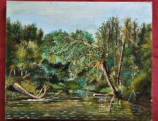 Beau  paysage de Gérard