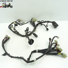 Faisceau électrique face