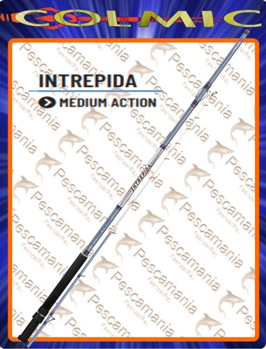 Canne colmic intrepida 80 - canne,