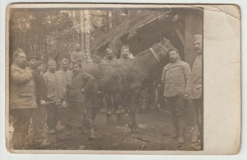 Carte photo poilus avec - carte,