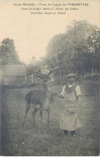 EURE Cirque MALADOLLY (Farm Zoologique des Farguettes) Deer Elaw trained