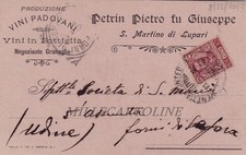S. MARTINO DI LUPARI: Pietro Petrin headset - wines 1904