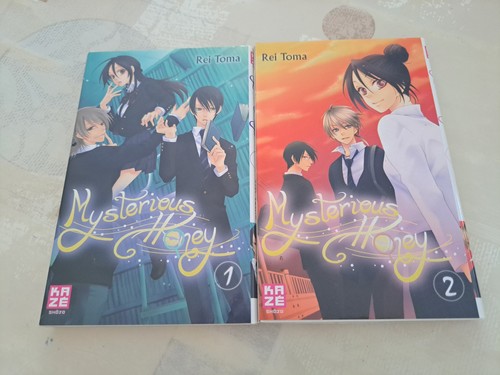 Lot mangas mysterious - lot,