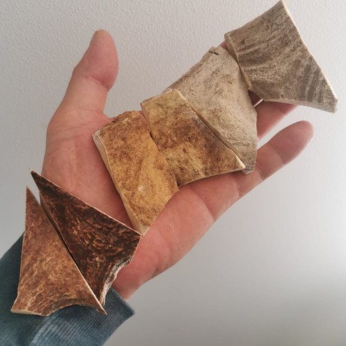 345 écailles cerf rouge - Écailles, de