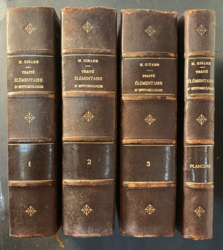 Maurice girard les - maurice, girard;