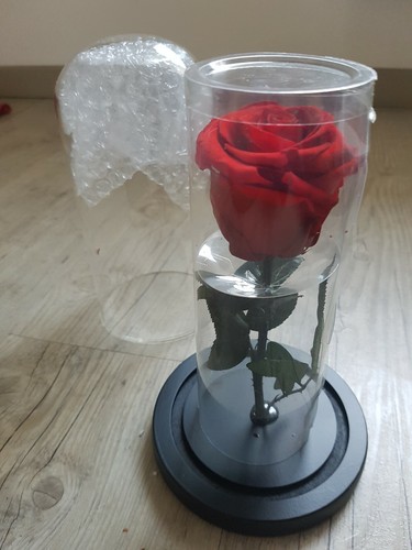 Rose eternelle sous cloche - rose,