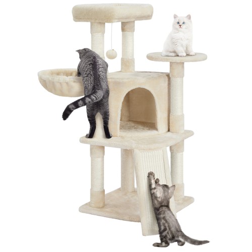 Arbre chat hauteur - chat,