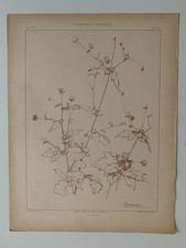 J.HABERT-DYS PLANCHE