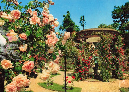 Hay les roses - 94,