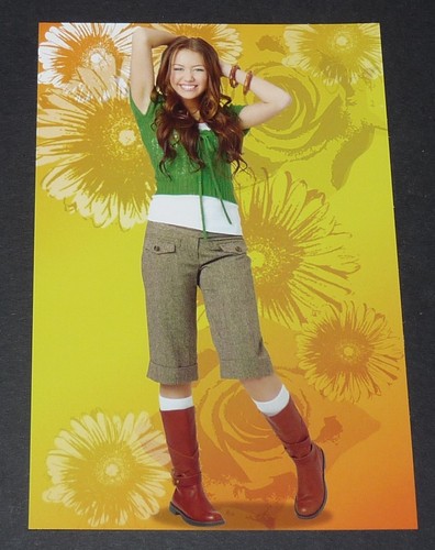 Panini 2008 hannah - n°26,
