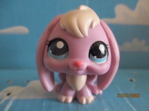 Petshop lapin belier - lapin, n°1705