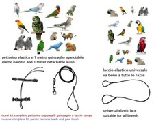 Laccio Zampa Élastique + Harnais Pour Perruches Amazones Boucles Métalliques XXX