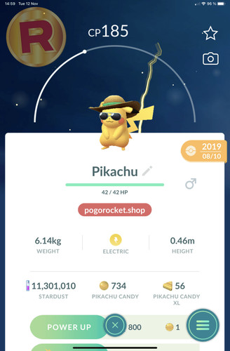 Pikachu summer hat costume - pikachu,