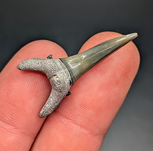 Gorgeous blue green sand - gorgeous, 1.3"