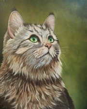 Peinture, chat, huile sur