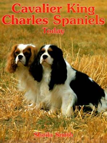 Cavalier king charles - charles, spaniels