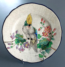 No.1 Rare Longwy Enamel Plate Bird Parrot 19th Century Era 