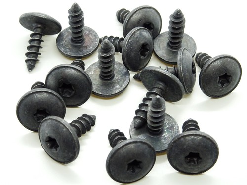 100x vis torx t25 - 100x, pour