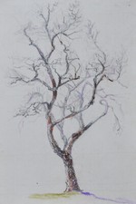 Julien Chappée (1862-1957) (27) - Pastel et crayon