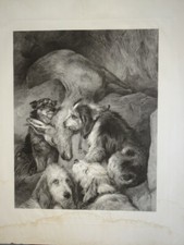 EDWIN LANDSEER (1802-1873) HUGE ENGLISH ENGRAVING DOG HUNTING ROMANCE 1849