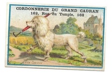 Dog Poodle - - Chromo Cordonnerie du Grand Cadran - Trade card
