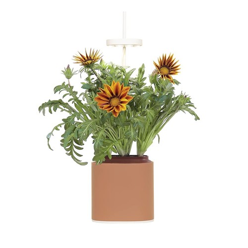 Prêt pousser nano garden - nano,