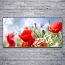 Image sur verre acrylique