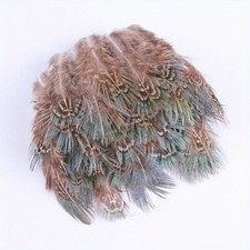 50PCS Naturel Coq Plumes Faisan Plume 4-8cm Faisant Bijoux Accessoires