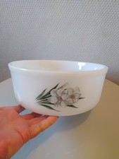 Vintage Saladier Arcopal