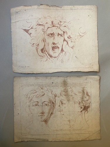 Portrait femme méduse louis - méduse,