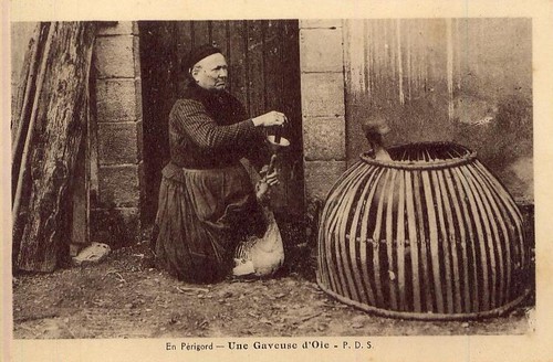 Perigord une gaveuse oie - perigord,