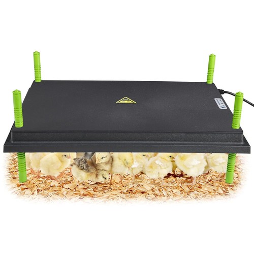 Plaque chauffante poussins