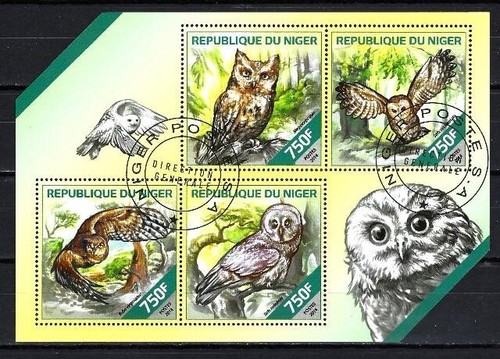 Animaux oiseaux hiboux - hiboux, niger