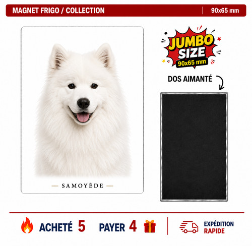 Magnet samoyede 90x65 frigo - magnet,