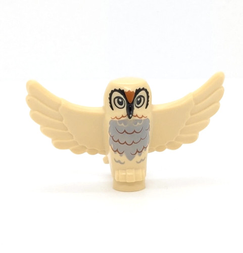 Hibou chouette ailes - hibou,