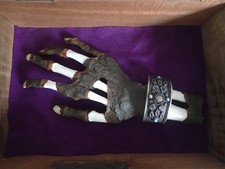 cabinet curiosité main momie