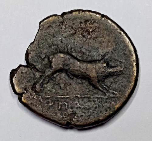 Rare monnaie apulia - apulia,, arpi